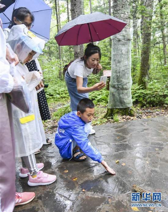 (社會(huì))(5)黑龍江伊春:消夏旅游熱