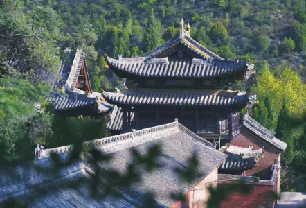 點(diǎn)擊放大